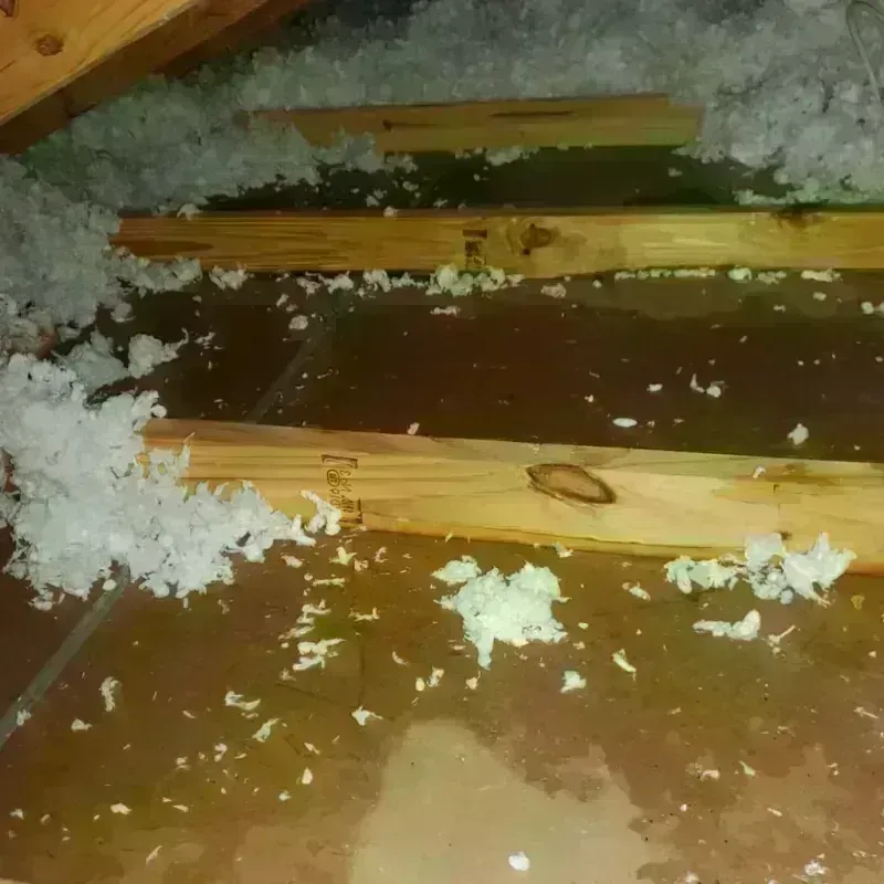 Attic Water Damage in Bosque Farms, NM